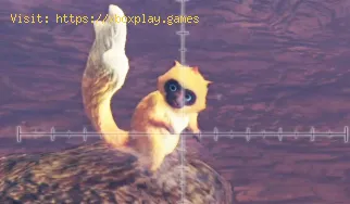  Monster Hunter Iceborne: dónde encontrar el macaco Goldspring - guí