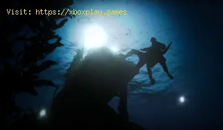 How does underwater combat work in Call of Duty Modern Warfare 2?