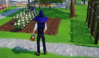 Dónde encontrar algodón en Disney Dreamlight Valley