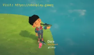 How To Fish in Hokko Life