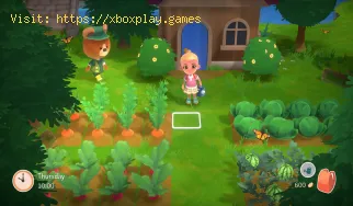 How to Get into the Mines in Hokko Life