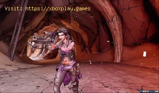 Borderlands 3: Wie bekomme ich Amara-Köpfe?