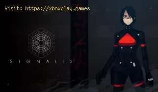 How to Solve Astrolabe Puzzle in Signalis