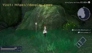 Where to Find Lumber in Harvestella