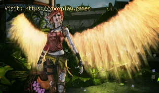 Borderlands 3: Wie bekomme ich ein Schwarzes Loch Schild?