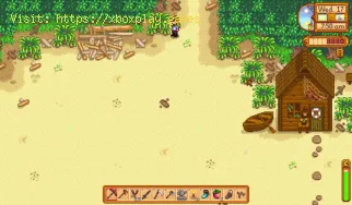 Wie bekomme ich Regenbogenmuscheln in Stardew Valley?
