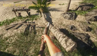 Comment obtenir des feuilles de palmier dans Stranded Deep