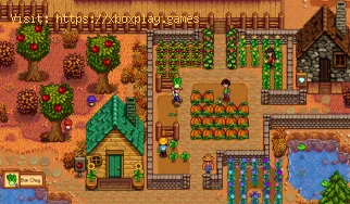 Wie werden Hühner in Stardew Valley gefüttert?