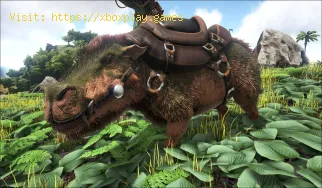 Comment apprivoiser un Daeodon dans Ark Survival Evolved