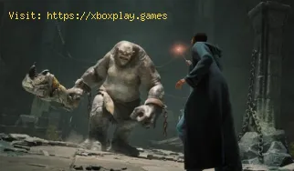 Hogwarts Legacy : configuration système requise ?