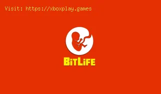 Comment devenir testeur de toboggan aquatique en BitLife ?