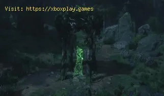 Où trouver des feuilles de guimauve dans Hogwarts Legacy ?