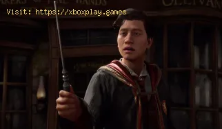 Comment se classer à Gryffondor en Hogwarts Legacy ?