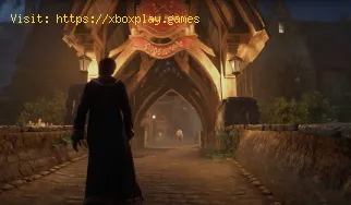 Où trouver les statues de Hogsmeade Demiguise dans Hogwarts Legacy ?