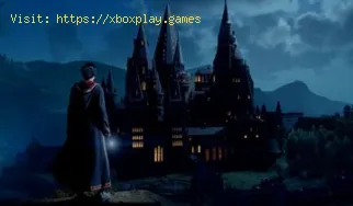 Comment obtenir le coffre d'antichambre dans Hogwarts Legacy ?