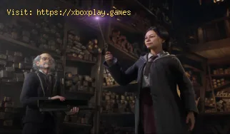 Comment résoudre le puzzle du tas d'os dans Hogwarts Legacy ?