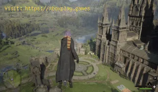 Où trouver le lac Marunweem dans Hogwarts Legacy ?