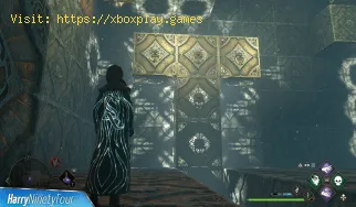 Comment compléter le puzzle Depulso Room 2 dans Hogwarts Legacy ?