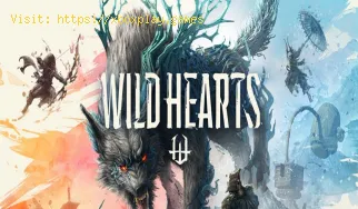 Wie kann ich das Erscheinungsbild in Wild Hearts anpassen?