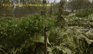 Comment planter des graines dans Sons of the Forest