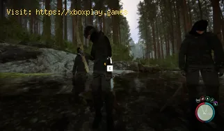 Comment obtenir le Slingshot dans Sons of the Forest