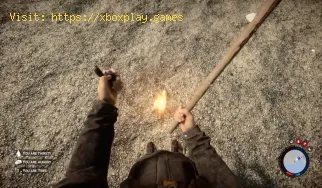 Comment faire cuire des aliments dans Sons of the Forest