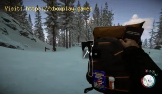 Comment échanger des objets dans Sons of the Forest ?