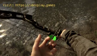 Comment faire un arc et des flèches dans Sons of the Forest ?