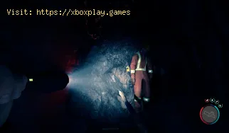 Où trouver le pistolet paralysant dans Sons of the Forest