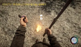 Comment faire un feu dans Sons of the Forest ?