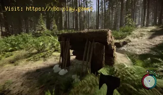 Comment éviter d'être fatigué en Sons Of The Forest ?