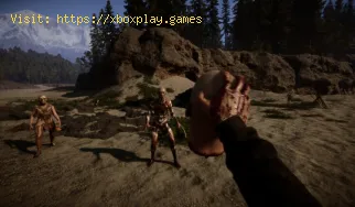 Comment chasser un cerf en Sons Of The Forest ?