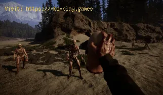Cómo cambiar el idioma del juego en Sons of the Forest