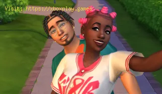 Wie behebt man den Sims 4-Grafikkartenfehler?