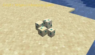 Wie bekomme ich Meeresschildkröteneier in Minecraft?