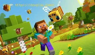 Wie kann ich beheben, dass Ihr Minecraft-Server keinen Schaden erleide