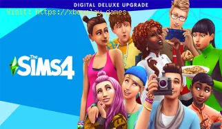 Wie installiert man Sims 4 Wicked Whims Mod?