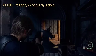 Posizioni dei ratti per il controllo dei parassiti a Resident Evil 4 R