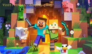 Wie kann Minecraft beim Lokalisieren des Servers hängen bleiben?