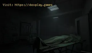 Dove trovare le parti della pistola a sale in Demonologist
