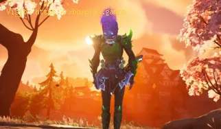 Wie bekomme ich Auszeichnungen in Fortnite?