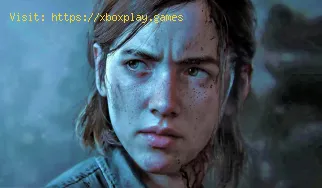 Wie behebt man die schwarze Textur von The Last of Us Part 1?