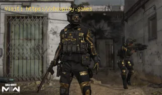 Cómo arreglar la actualización de campo que no funciona en Call of D