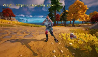 Wo finde ich alle Spezialisten in Fortnite?