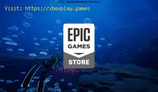 Wie wird man in Epic Games offline angezeigt?