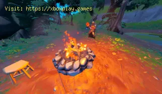 Wo finde ich alle Fortnite-Lagerfeuer in Kapitel 4, Staffel 2?