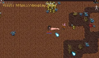 Wie behebt man Realm of the Mad God Exalt „Steam-Autorisierungsfehle