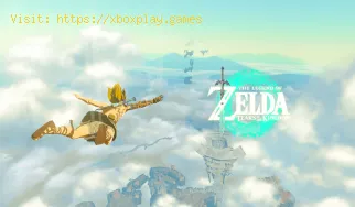 Cómo usar semillas de flores brillantes en Zelda Tears Of The Kingdom