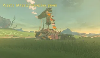 Cómo completar Hidden Treasure At Lizard Lakes Side Quest en Zelda Te