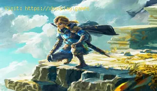 Wie komme ich in Zelda Tears of the Kingdom zurück zum Tempel der Zei